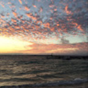 Meet your Posher, Candice py